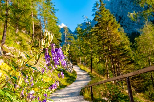 Aufstieg zur Blaueishütte